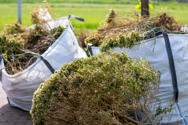 Best Yard Waste Removal  in Yoakum, TX